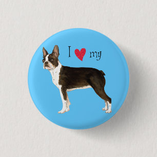 I Love my Boston Terrier Pinback Button