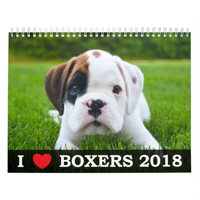 i love boxers