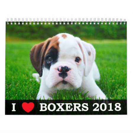 I Love My Boxers 2018 Calendar