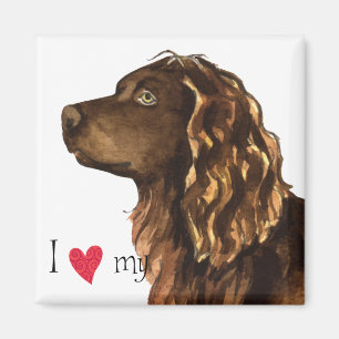 I Love my Boykin Spaniel Magnet