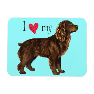 I Love my Boykin Spaniel Magnet