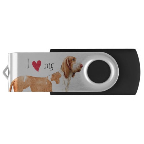 I Love my Bracco Italiano Flash Drive