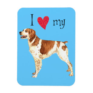 I Love my Brittany Magnet