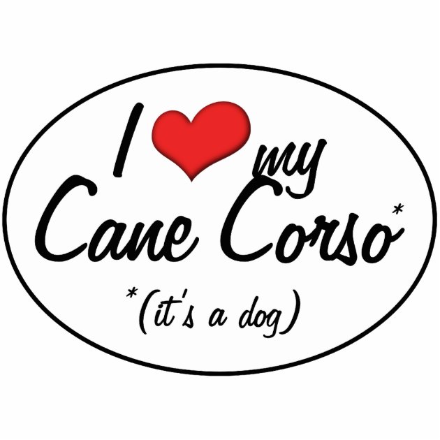 cane corso lovers