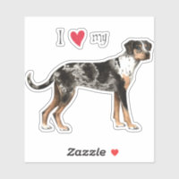 I love fashion my catahoula