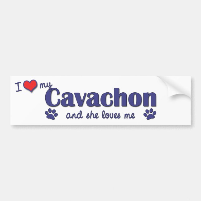 I Love My Cavachon (Female Dog) Bumper Sticker (Front)