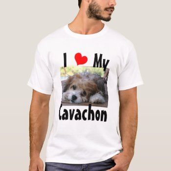 I Love My Cavachon T-shirt by carrieallen at Zazzle