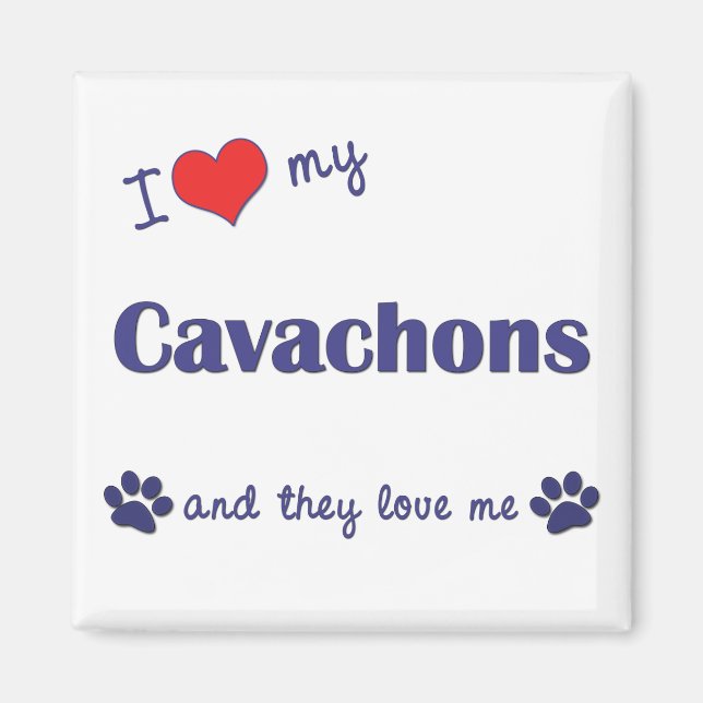I Love My Cavachons (Multiple Dogs) Magnet (Front)