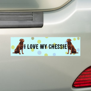 I love my Chesapeake Bay... - Customized Bumper Sticker