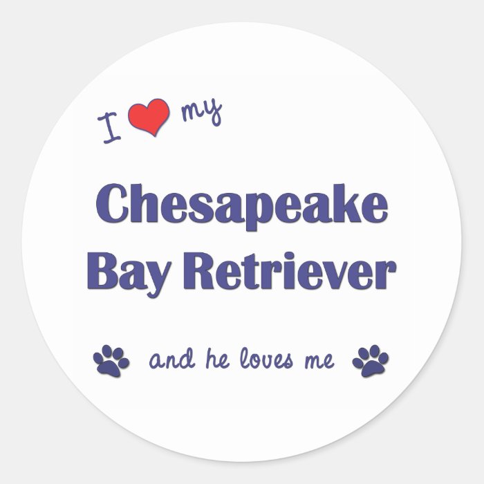 Love My Chesapeake Bay Retriever (Male Dog) Round Sticker