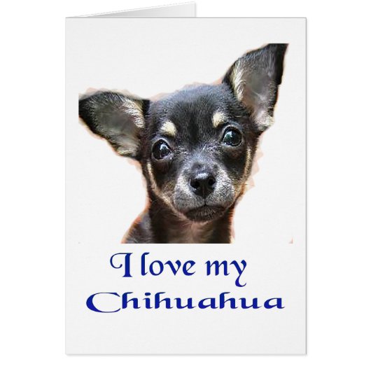 I love My Chihuahua (Front)