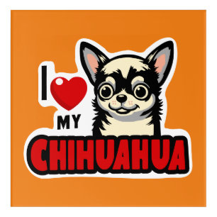 I Love My Chihuahua Acrylic Print