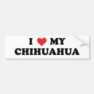 I Love My Chihuahua Bumper Sticker