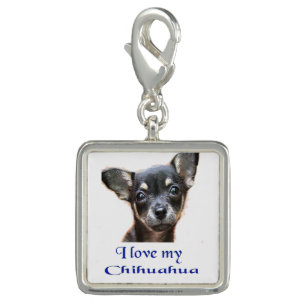 I love my Chihuahua Charm