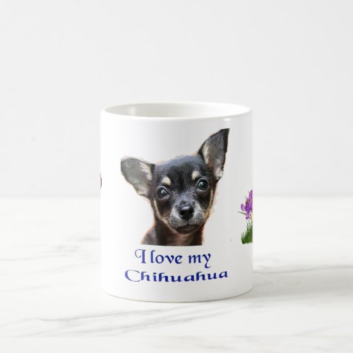 I love my Chihuahua Coffee Mug