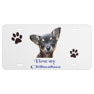 I love my Chihuahua License Plate