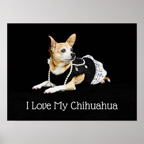 I Love My Chihuahua On Black Background Poster