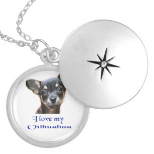 I love my Chihuahua Silver Plated Necklace