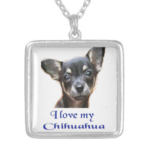I love My Chihuahua Silver Plated Necklace