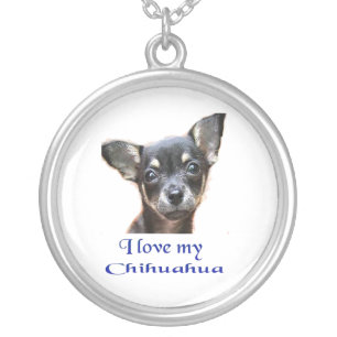 I love my Chihuahua Silver Plated Necklace
