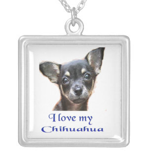 I love my Chihuahua Silver Plated Necklace
