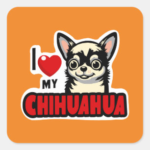 I Love My Chihuahua Square Sticker