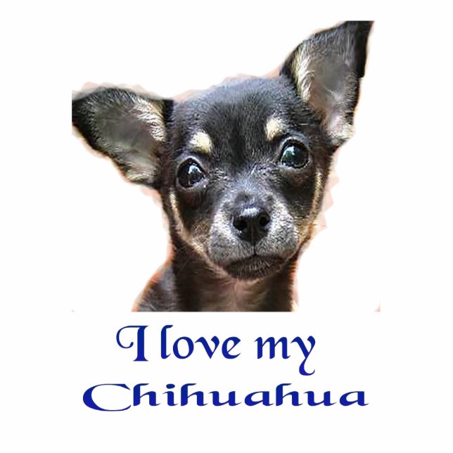 I love my Chihuahua Statuette (Front)
