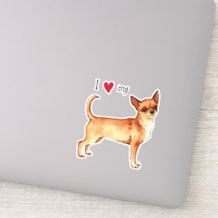 I Love my Chihuahua Vinyl Sticker