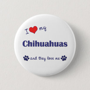 I Love My Chihuahuas (Multiple Dogs) Pinback Button