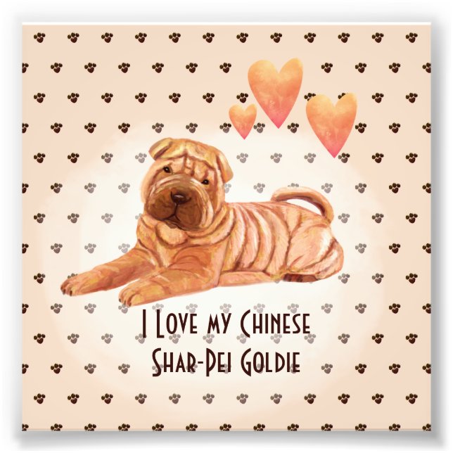I Love My Chinese Shar-Pei Name Custom Cartoon Dog Photo Print (Front)