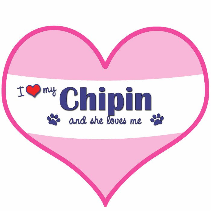 I Love My Chipin (Female Dog) Photo Sculptures
