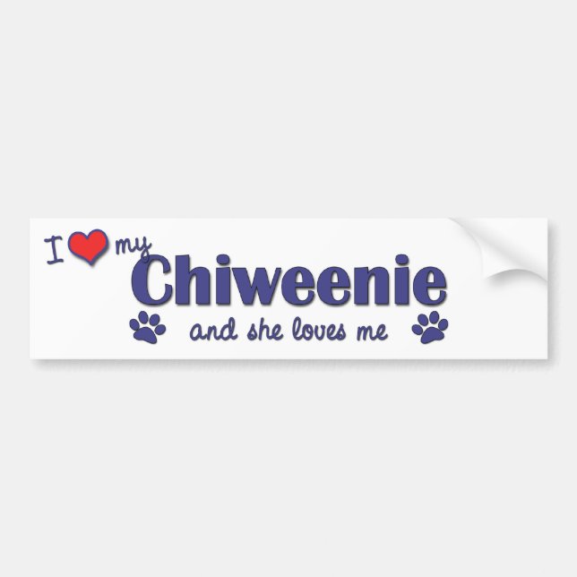 I Love My Chiweenie (Female Dog) Bumper Sticker (Front)