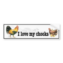 I Love My Chooks with rooster, hen and chickens Bumper Sticker