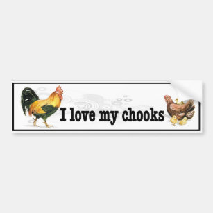 I Love My Chooks with rooster, hen and chickens Bumper Sticker
