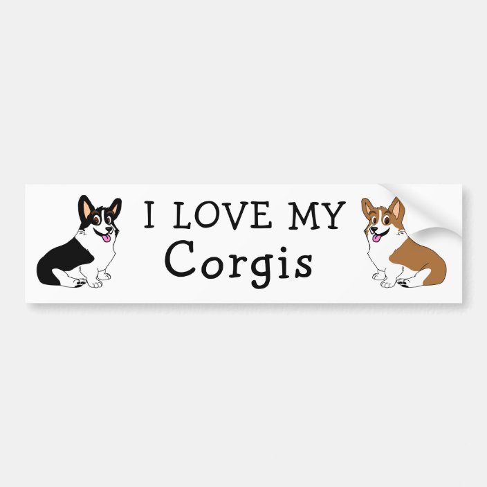 i love my corgi