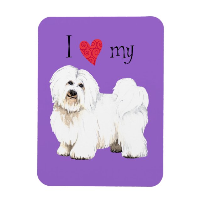 I Love my Coton de Tulear Magnet (Vertical)