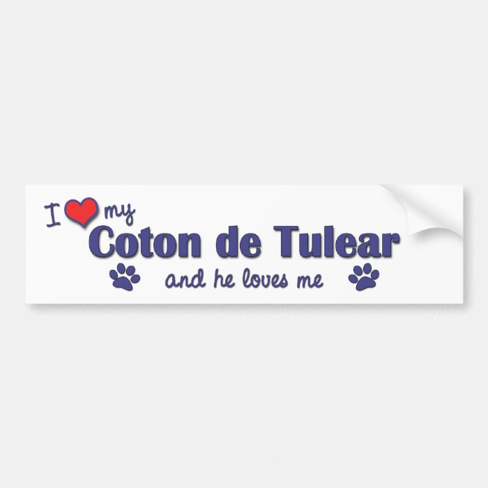 I Love My Coton de Tulear (Male Dog) Bumper Sticker