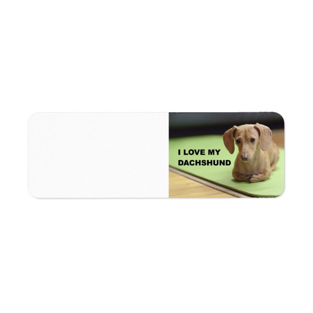 I Love My Cream Dachshund with picture Label (Front)