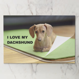 I Love My Cream Dachshund with picture Paper Pad