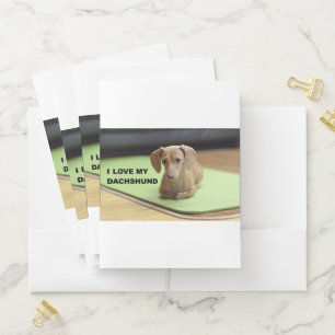I Love My Cream Dachshund with picture Pocket Folder