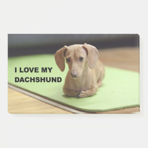 I Love My Cream Dachshund with picture Post-it Notes
