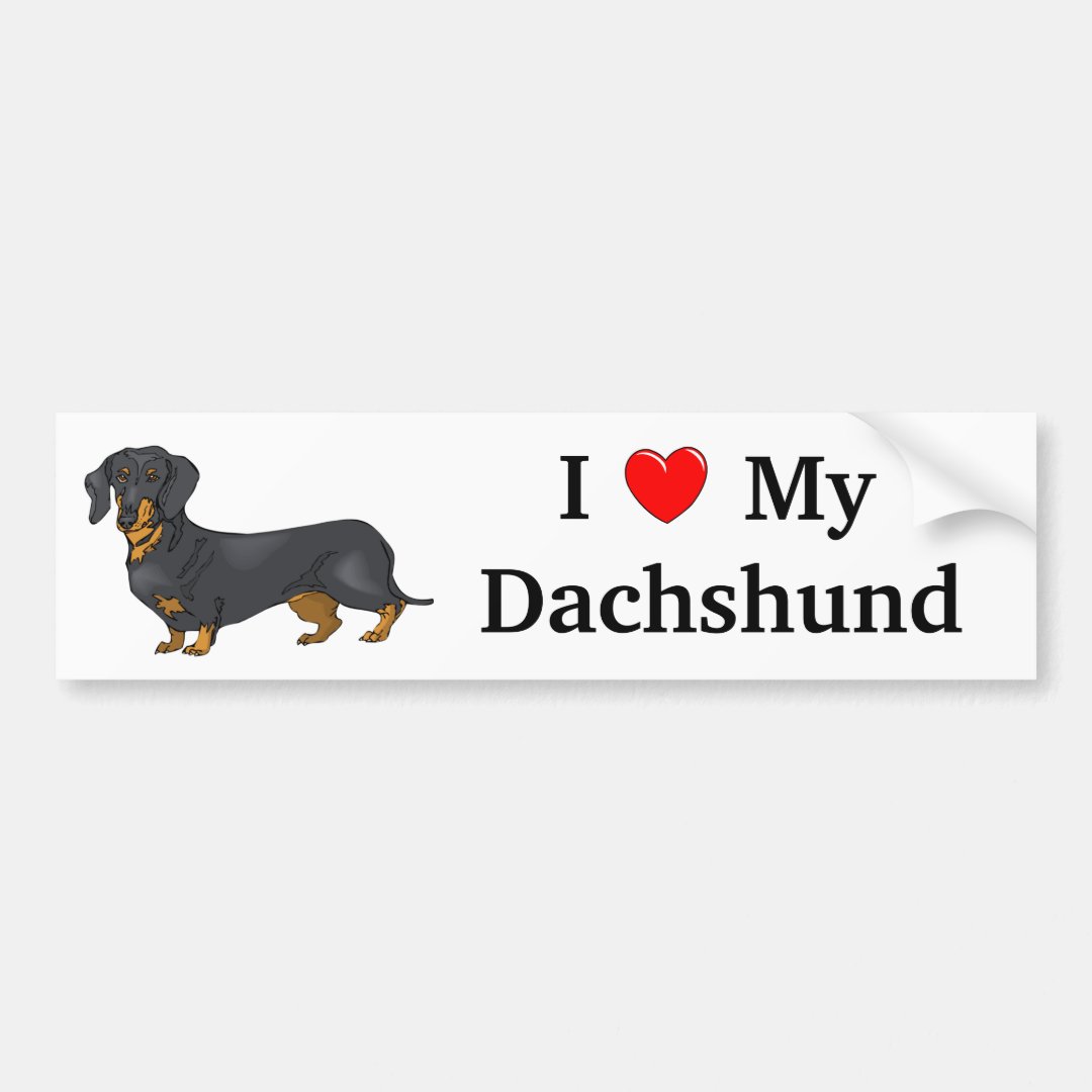 I Love My Dachshund Bumper Sticker | Zazzle