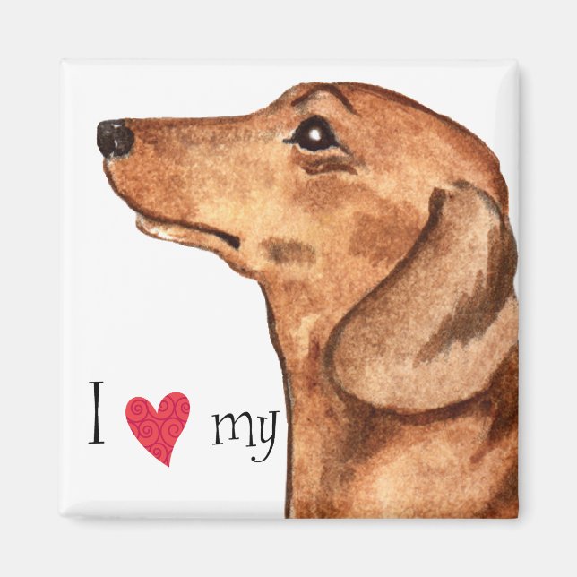 I Love my Dachshund Magnet (Front)
