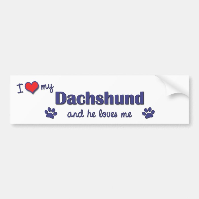 I Love My Dachshund (Male Dog) Bumper Stickers