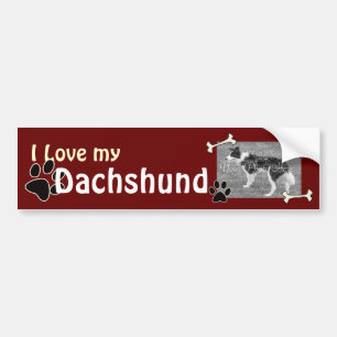 I love my Dachshund Photo template Bumper Sticker
