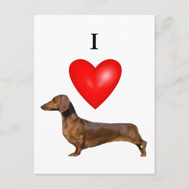 I Love My Dachshund Red Heart Postcard (Front)