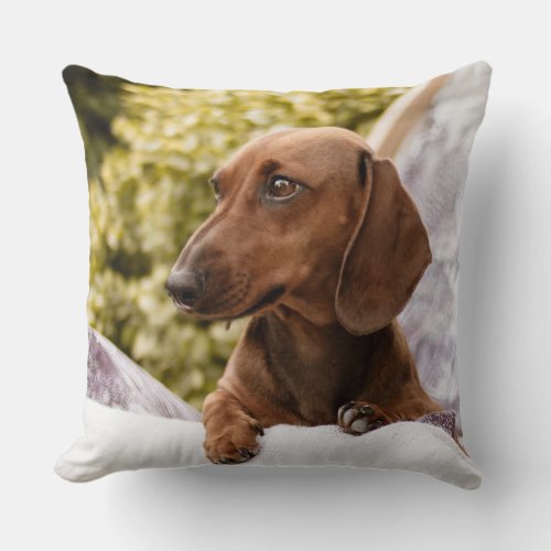 I love my Dachshund Throw Pillow