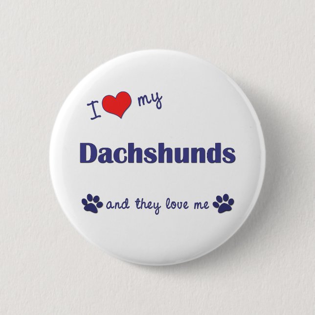 I Love My Dachshunds (Many Dogs) Pinback Button (Front)