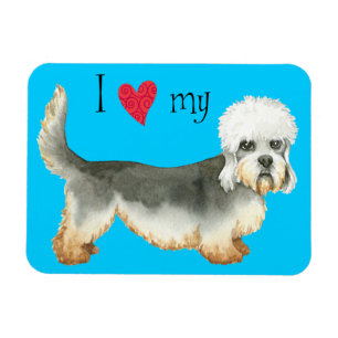 I Love my Dandie Dinmont Terrier Magnet