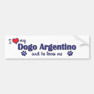 I Love My Dogo Argentino (Male Dog) Bumper Sticker